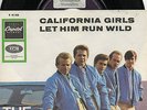 Sg .  -   BEACH BOYS  -  CALIFORNIA GIRLS   -  CAR COVER