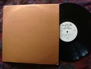 Acid Folk Psych Monster PERRY LEOPOLD experiment in metaphysics Orig 1970 ex