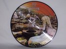 LED ZEPPLIN (HOUSES OF THE HOLY) RARE PICTURE DISC