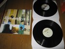 free shipping  Bonobo ?– Animal Magic