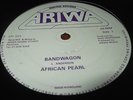 African Pearl Bandwagon Rare Killer Roots 12