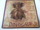 DINOSAUR JR. - BUG ( GREEN VINYL )