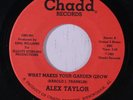 rare Modern Soul 45 ALEX TAYLOR on CHADA Listen