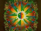 Jethro Tull Roots To Branches 1995 LP Chrysalis.
