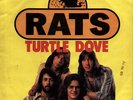 RATS: Turtle Dove (´74 / very rare orig. German 7