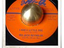 Big Jack Reynolds I Had A Little Dog R&B ROCKER SOUL MOD HEAR 45