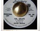 Ross Bagdasarian Mr. Grape TITTYSHAKER R&B POPCORN SOUL HEAR 45