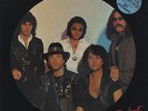 Deep Purple Perfect Strangers UK picture disc LP vinyl album record POLHP16