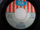 1967 Garage Psych Rare Park Avenue Playground U.S.A.