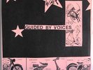 GUIDED BY VOICES / Jenny Mae Leffel 