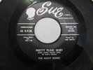 THE NIGHT RIDERS Pretty Plaid Skirt SUE R&B Rocker MEL SMITH