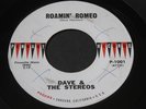 Dave & the Stereos   Roamin' Romeo / Must Be Love   Pennant   teen doo wop 45 ?