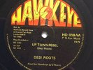 Desi Roots - Uptown Rebel - killer 12