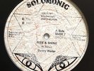 Bunny Wailer - Rise and Shine- killer 12