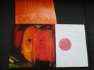 ALICE IN CHAINS - JAR OF FLIES Holl. VINYL- LP 