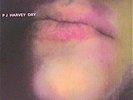 PJ HARVEY DRY LP
