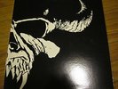 DANZIG 1 