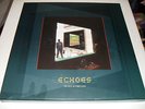 Pink Floyd Echoes 180 Gram 4 record set Rare and Out of Print Gently Used NR