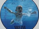 Nirvana Nevermind Rare New Picture Disc LP