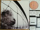 PEARL JAM - vs. LP Epic/Legacy * EDDIE VEDDER Gaslight Anthem NIRVANA Grunge '93