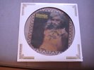 BLONDIE - Headlines - RARE Australian Picture Disc LP