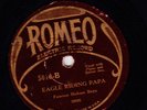 1920s Stompin Guitars FAMOUS HOKUM BOYS Eagle Ridin Papa Ro 5010 decent copy