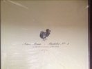 Aimee Mann | MFSL | Bachelor No. 2 Or, The Last Remains of the Dodo by