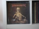 MEGADETH - The World Needs A Hero LP