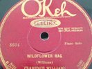CLARENCE WILLIAMS 78rpm Wildflower Rag Organ Grinder Blues