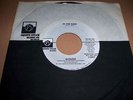 BLONDIE - IN THE FLESH 7