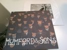 Mumford & Sons - Cave and the Open Sea 10
