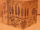 PARI ZANGANEH - Shaar Hai Rodki 10