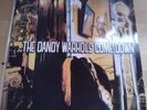 THE DANDY WARHOLS 
