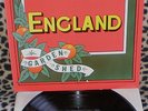 -ENGLAND-GARDEN SHED -ARISTA RECORDS ARTY 153- LP 33GIRI 12