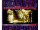Temple Of The Dog - Temple Of The Dog ( Green vinyl)