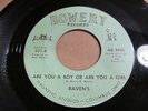 RAVENS Are You A Boy Are You A Girl 45 BOWERY 60's garage ohio VG- vers. 1