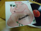 INCREDIBLE HOG SAME LP IN 1973 1ST PRESS PROG.MONSTER