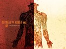 RSD Between The Buried And Me - The Anatomy Of 12