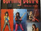 BURNING DESIRE Break Free 1987 UIS ORG Private Metal LP SEALED Saginaw Michigan