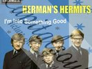 60S BRIT POP COLUMBIA HERMAN'S HERMITS I'M INTO SOMETHING GOOD PICTURE SLEEVE