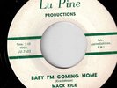 Mack Rice Baby I'm Coming Home Lupine  Hear It