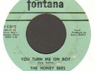 NORTHERN SOUL  THE HONEY BEES   YOU TURN ME ON BOY   FONTANA