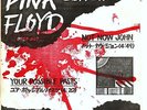 PINK FLOYD NOT NOW JOHN + POSSIBLE PAST JAPAN PROMO 7