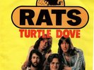 Rats -Turtle Dove  -GLAM Classic-German Pic Sleeve- 1974 -Hear