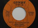 70s Soul 45 - Brad Lundy - Baby If You Ever Need My Love - Lundy - mp3