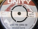 REGGAE BOYS - WHAT YOU GONNA DO /HEADLEY BENNETT - HOT COFFEE - UNITY 530 (1969)
