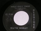 WAYNE WORLEY & THE WORLEY BIRDS 