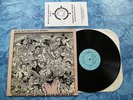 SOMEONE GOT THEIR HEAD KICKED IN LP + BOOK ADOLESCENTS BAD RELIGION PUSHEAD punk