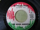 THE SOUND SANDWICH (Viva) - Rare 60's USA Psych Garage 45 
