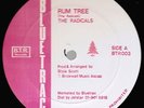 THE RADICALS  /  RUM TREE   / 12
